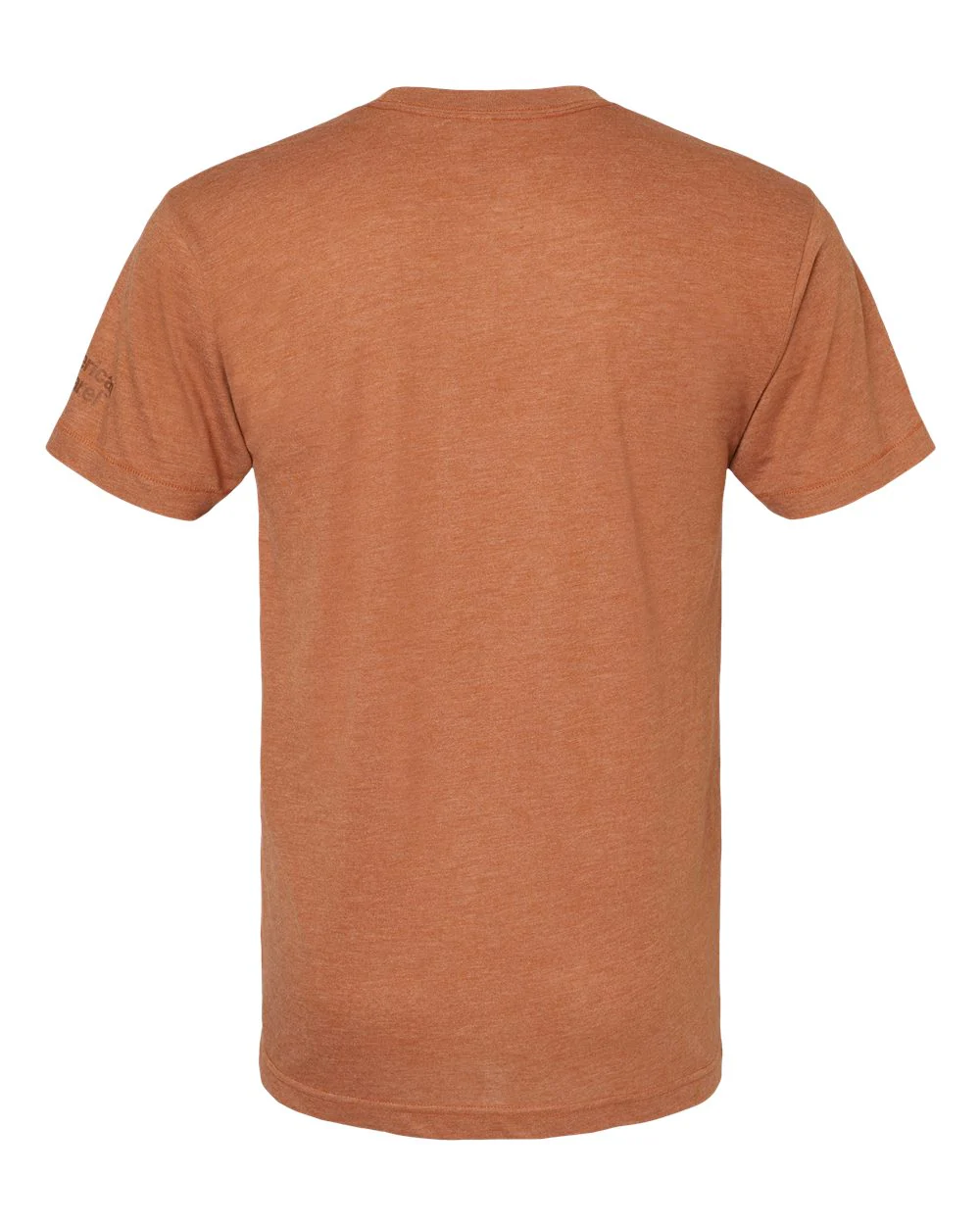 American Apparel-TR401-Triblend Track Tee - Image 39