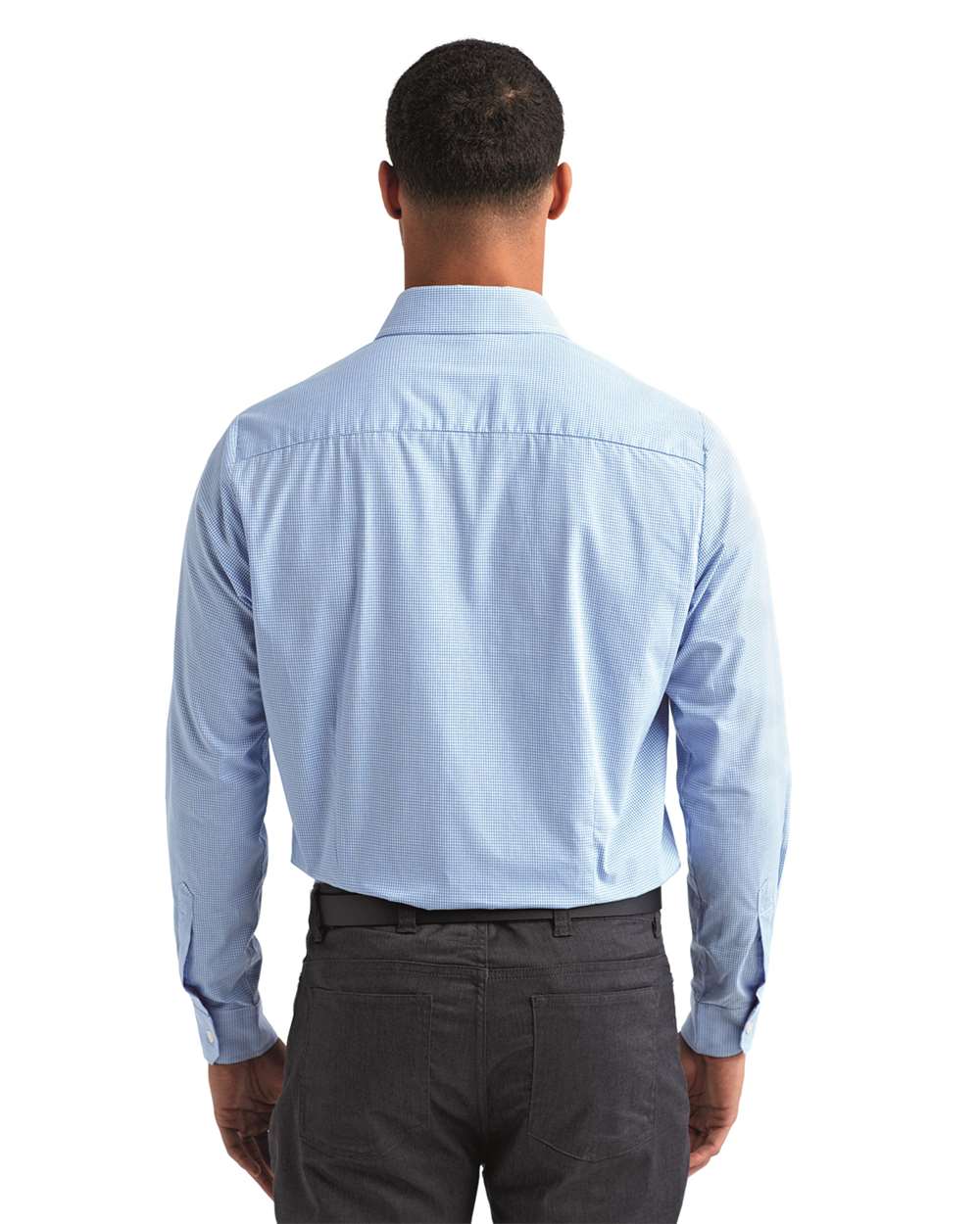 Artisan Collection by Reprime-RP220-Microcheck Gingham Long-Sleeve Cotton Shirt - Image 13
