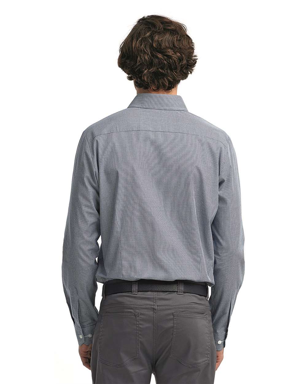 Artisan Collection by Reprime-RP220-Microcheck Gingham Long-Sleeve Cotton Shirt - Image 19