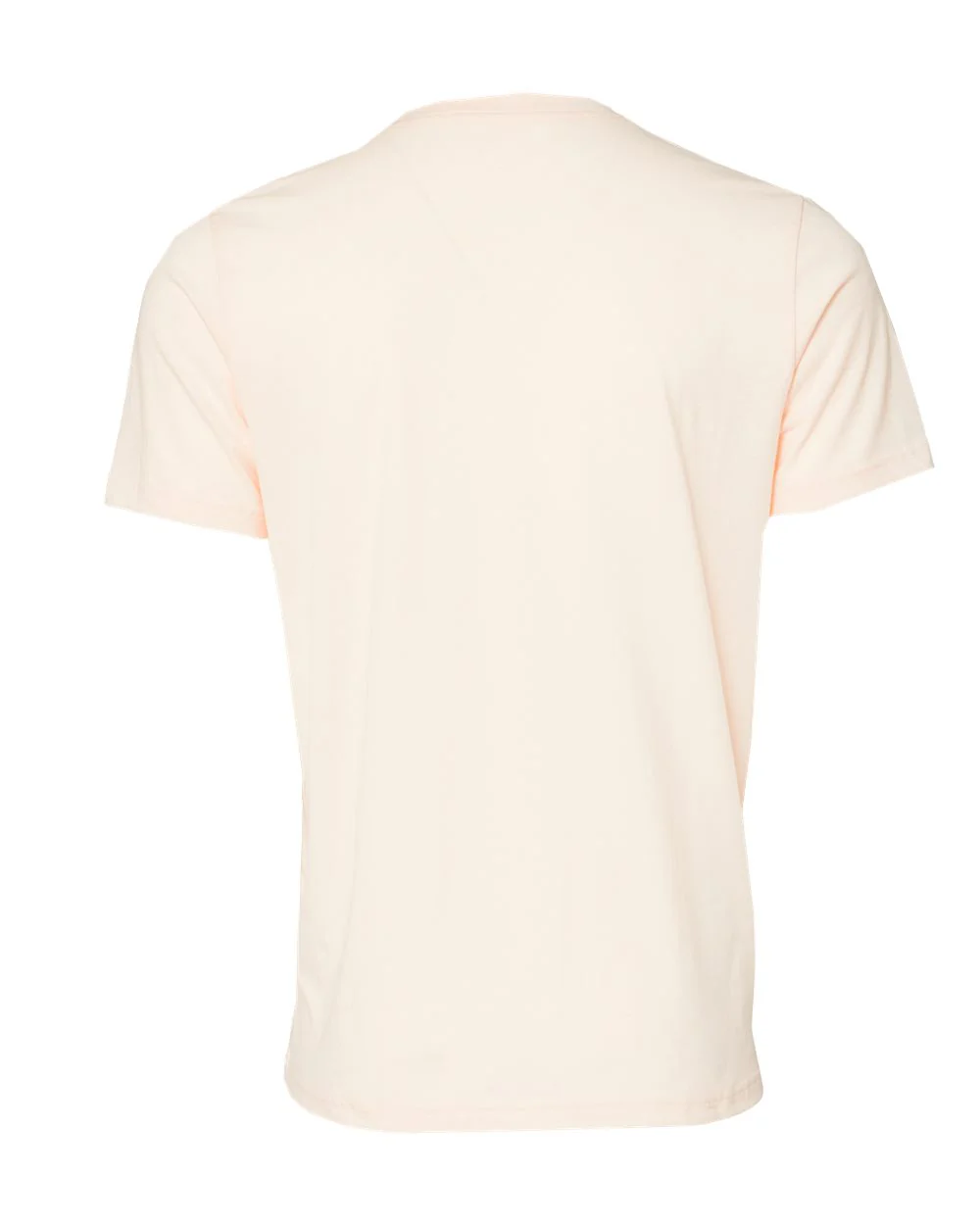 BELLA + CANVAS-3413-Triblend Tee - Image 172