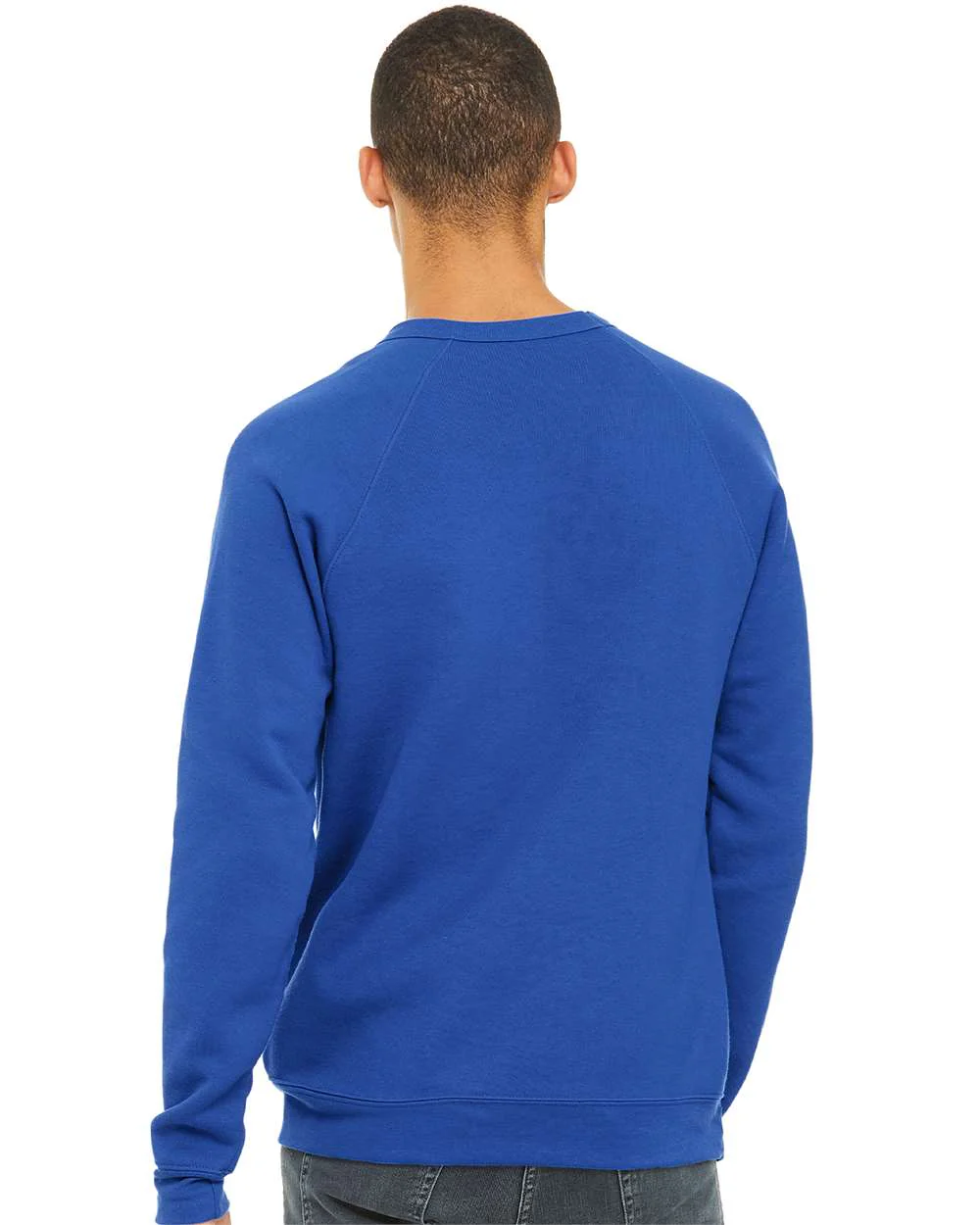 BELLA + CANVAS-3901-Sponge Fleece Raglan Crewneck Sweatshirt - Image 228