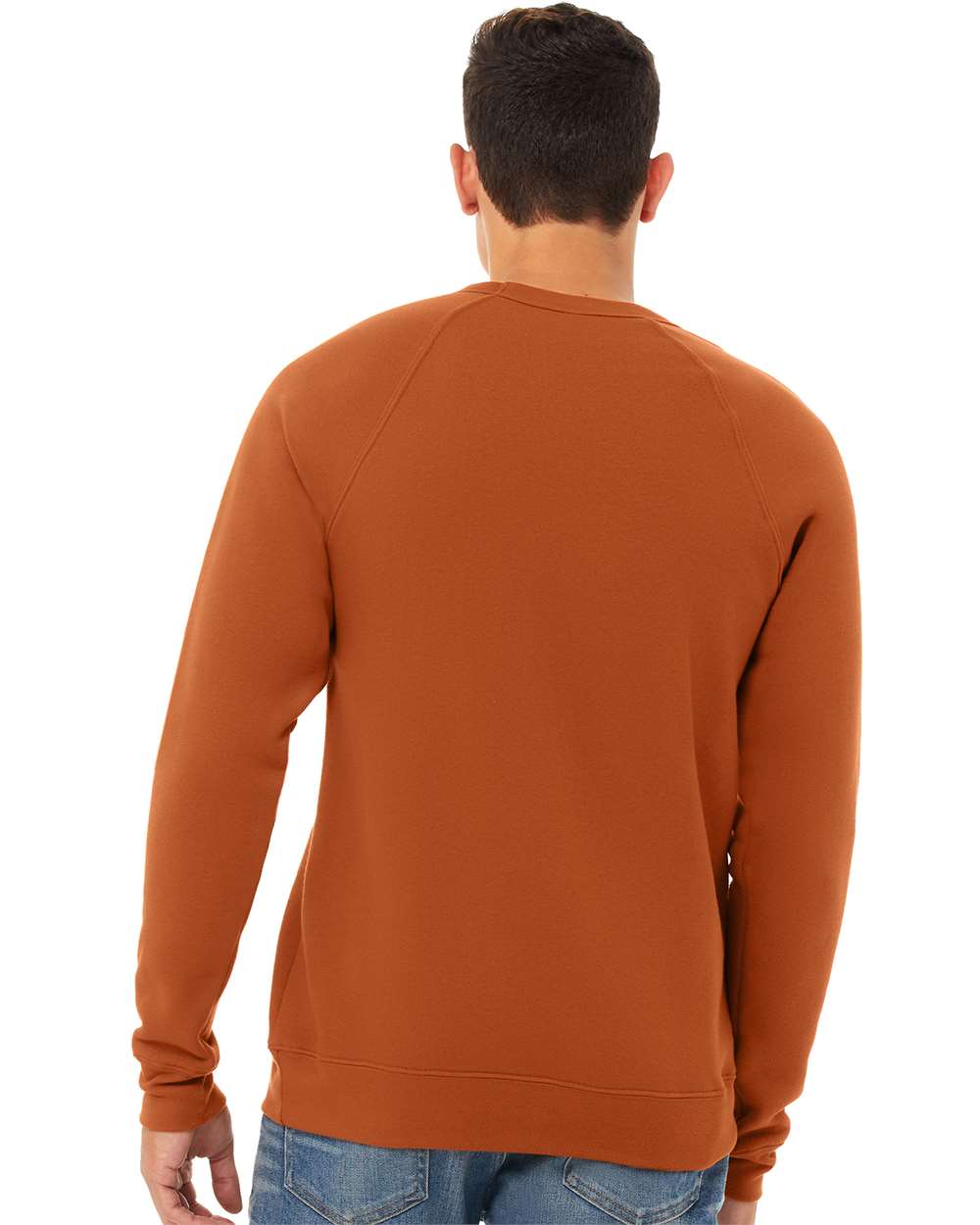BELLA + CANVAS-3901-Sponge Fleece Raglan Crewneck Sweatshirt - Image 25