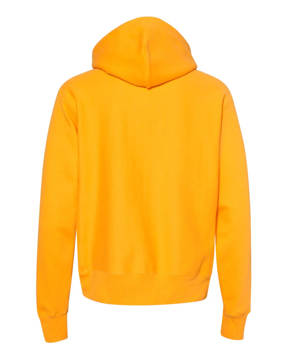 Champion-S101-Reverse Weave® Hooded Sweatshirt - Image 21