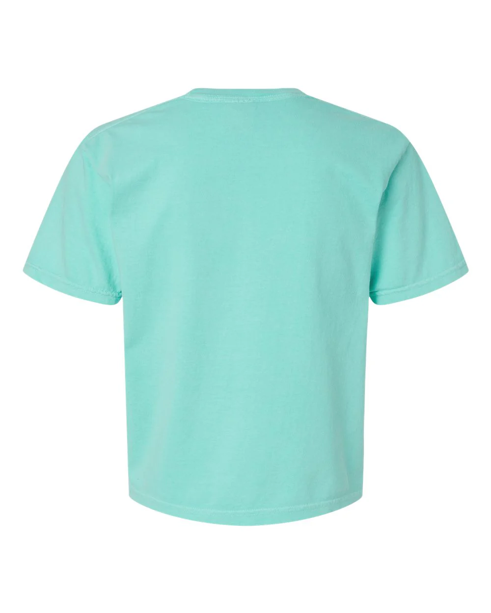 Comfort Colors-3023CL-Women's Heavyweight Boxy T-Shirt - Image 15