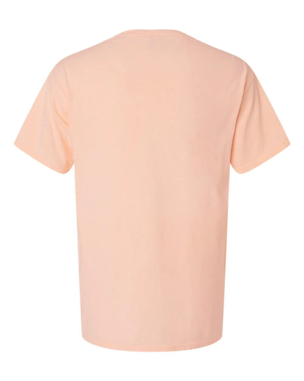 ComfortWash by Hanes-GDH11B-Botanical Dyed T-Shirt - Image 2