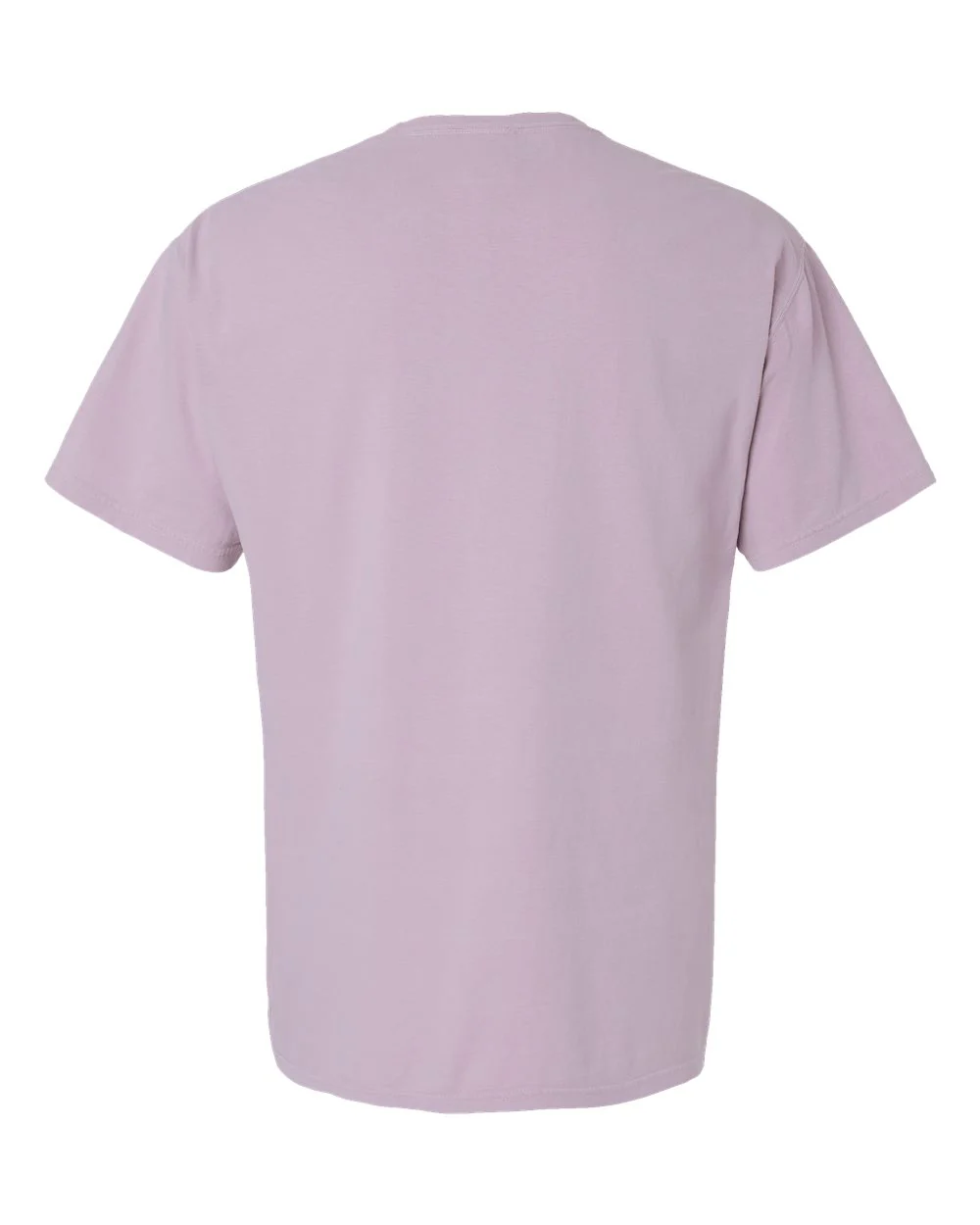 ComfortWash by Hanes-GDH11B-Botanical Dyed T-Shirt - Image 9
