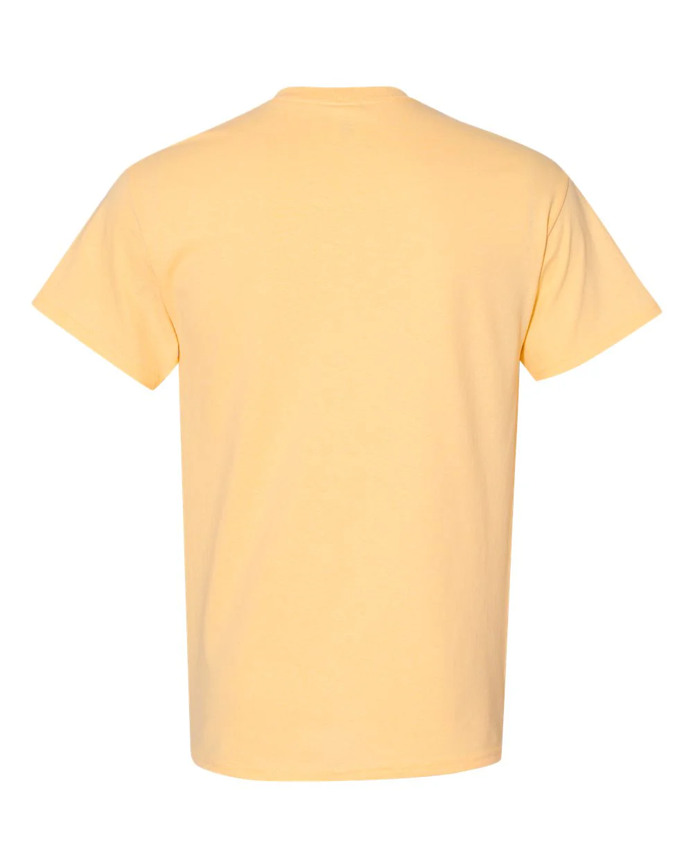 Gildan-5000-Heavy Cotton™ T-Shirt - Image 245