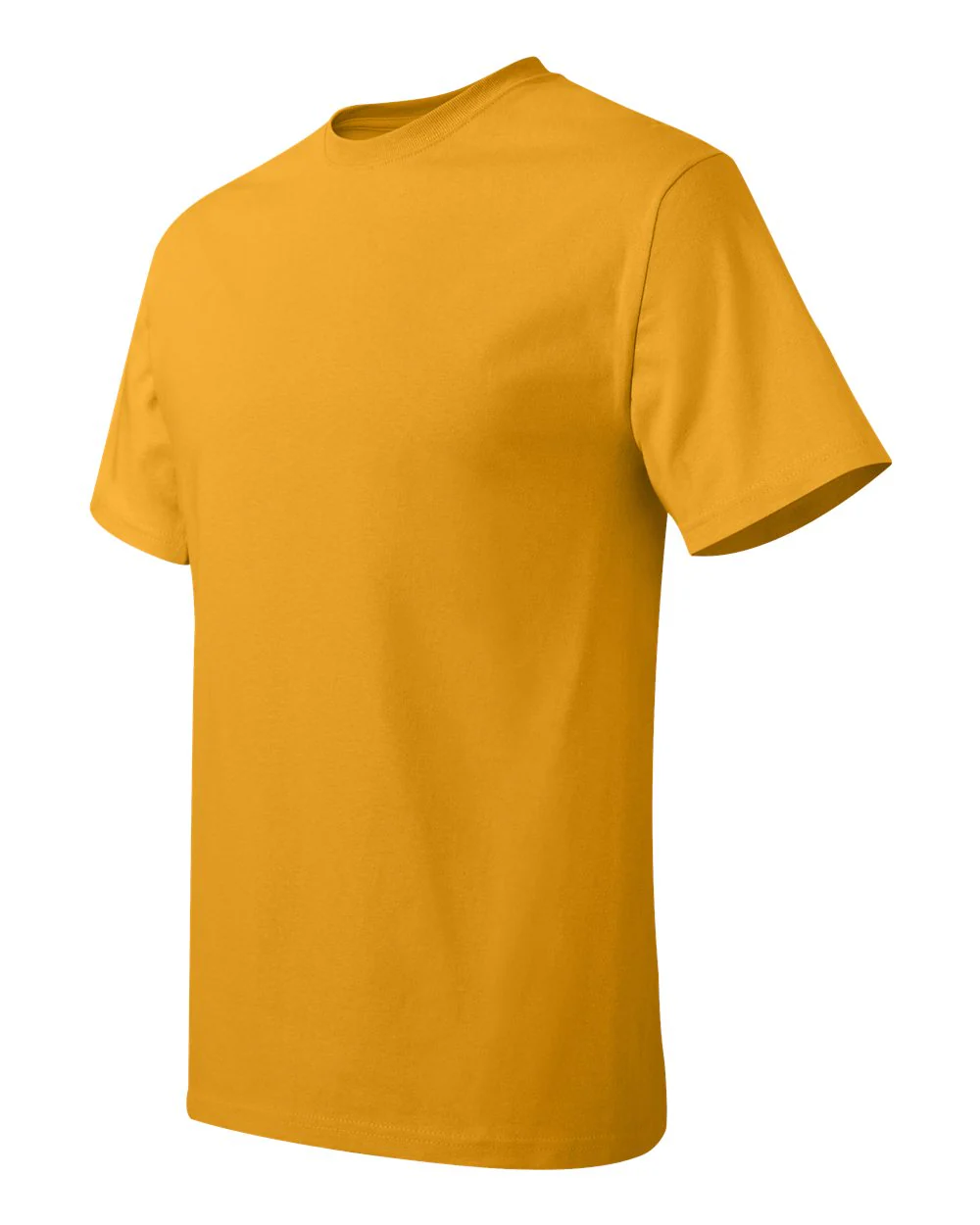 Hanes-5250-Authentic T-Shirt - Image 100