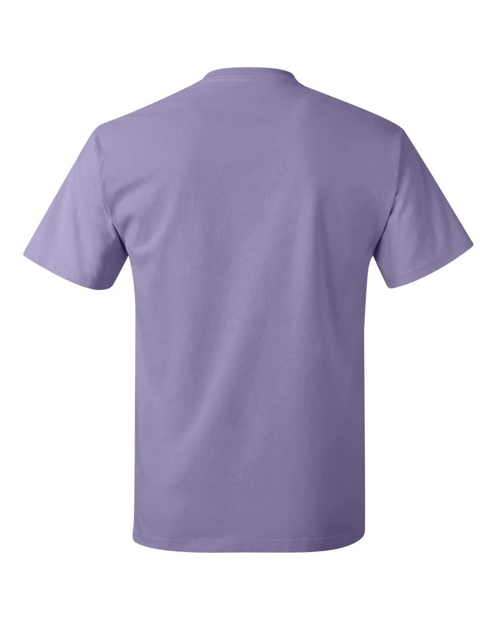 Hanes-5250-Authentic T-Shirt - Image 106