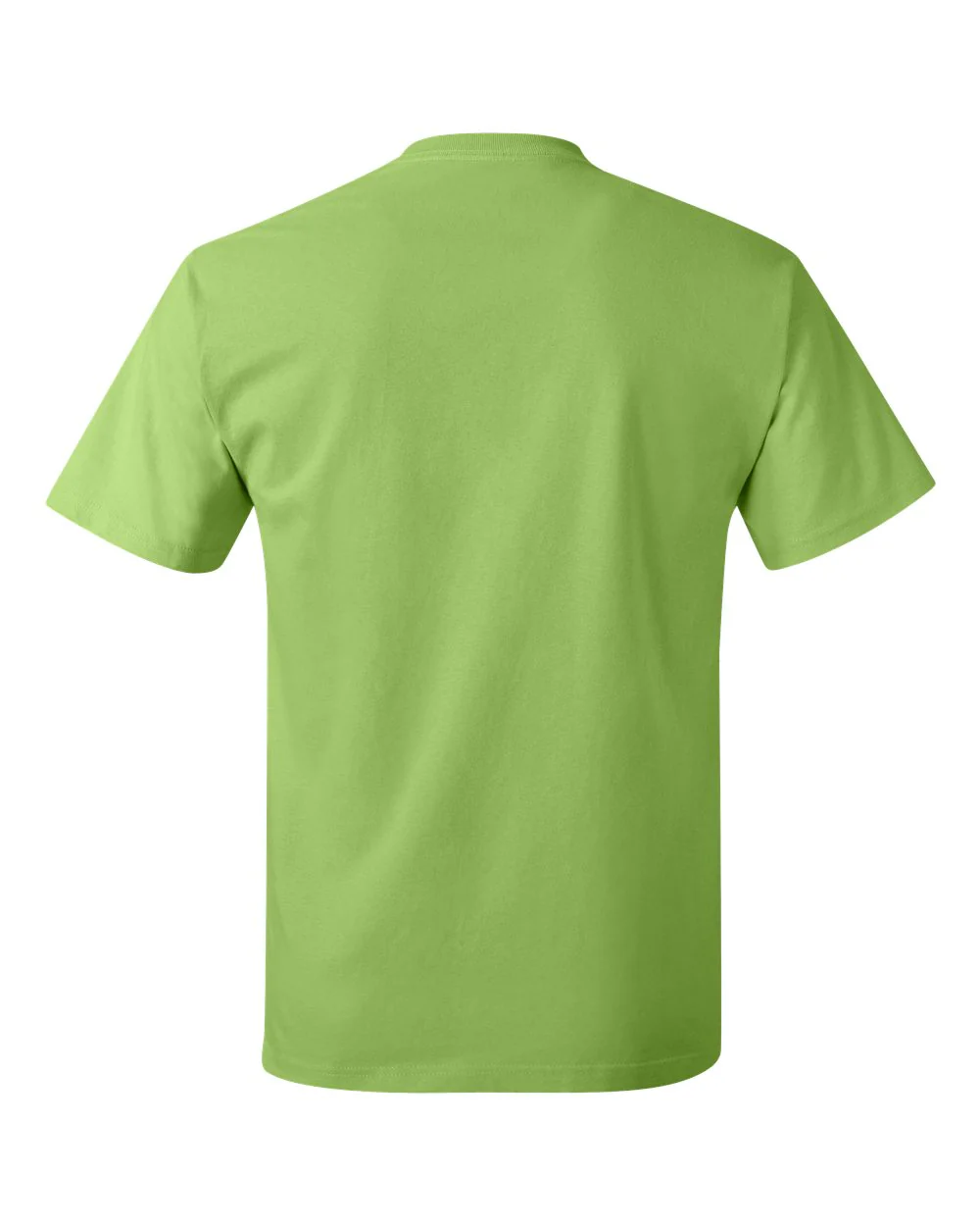 Hanes-5250-Authentic T-Shirt - Image 121