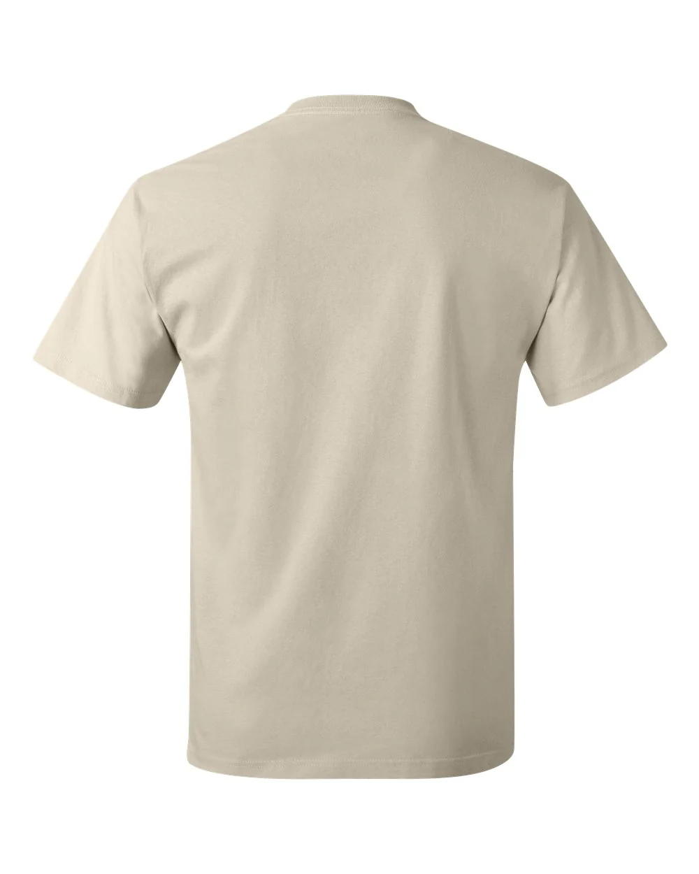 Hanes-5250-Authentic T-Shirt - Image 133