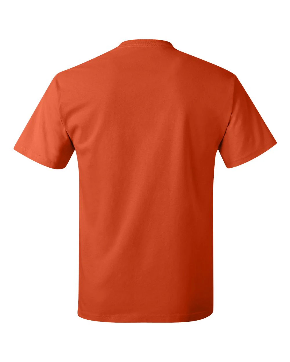 Hanes-5250-Authentic T-Shirt - Image 145