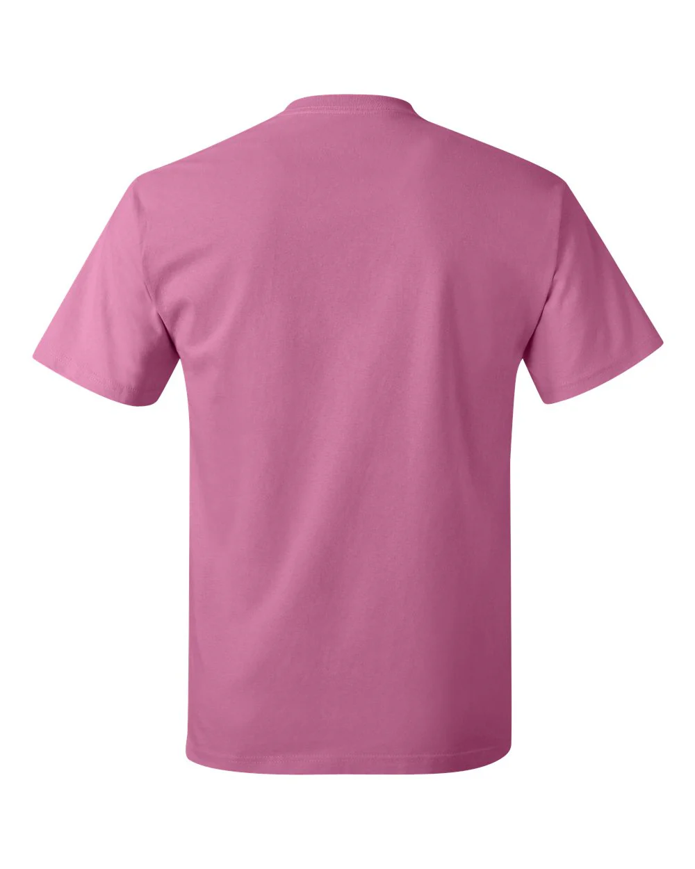 Hanes-5250-Authentic T-Shirt - Image 170