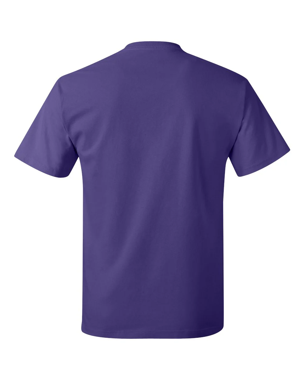 Hanes-5250-Authentic T-Shirt - Image 176