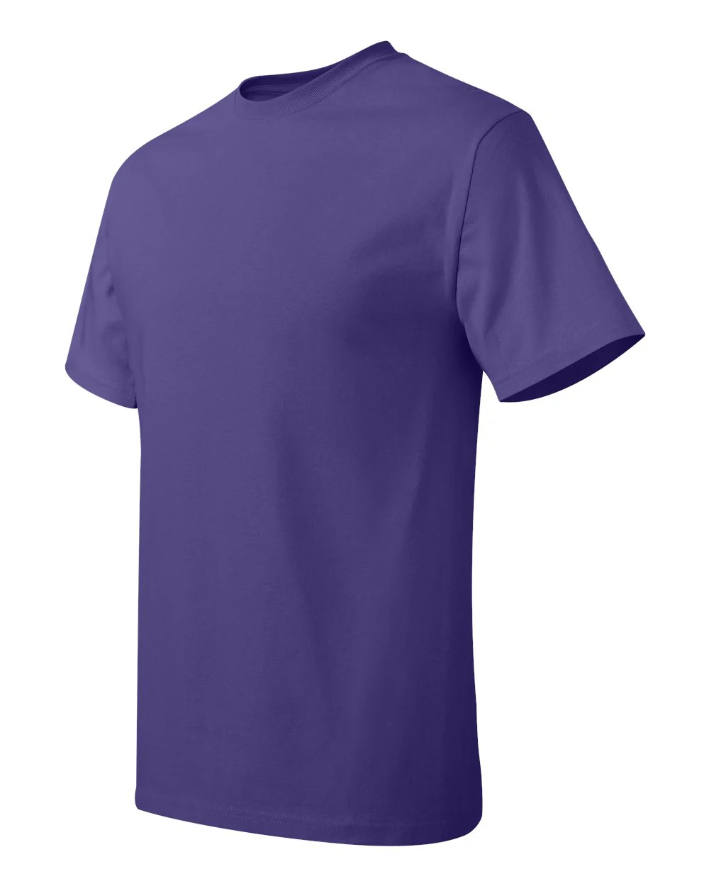Hanes-5250-Authentic T-Shirt - Image 177