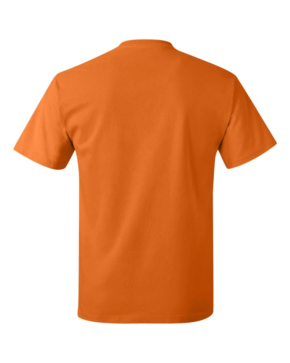 Hanes-5250-Authentic T-Shirt - Image 188