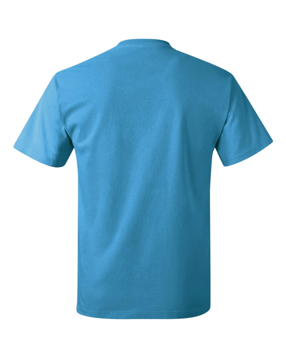 Hanes-5250-Authentic T-Shirt - Image 200