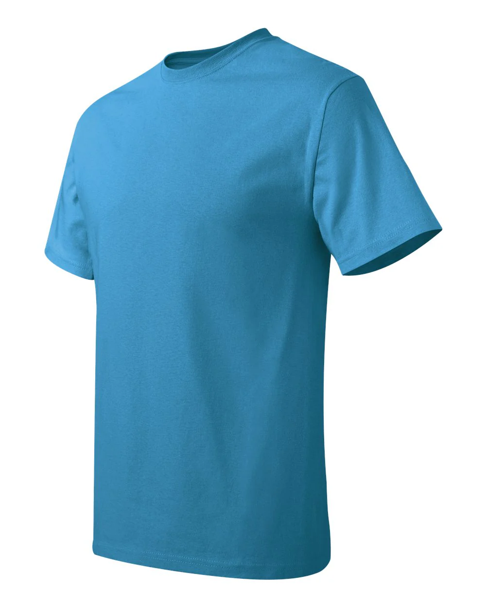 Hanes-5250-Authentic T-Shirt - Image 201