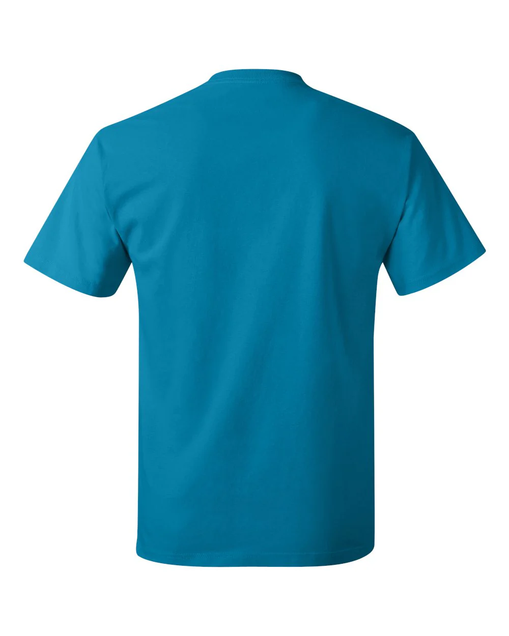Hanes-5250-Authentic T-Shirt - Image 221