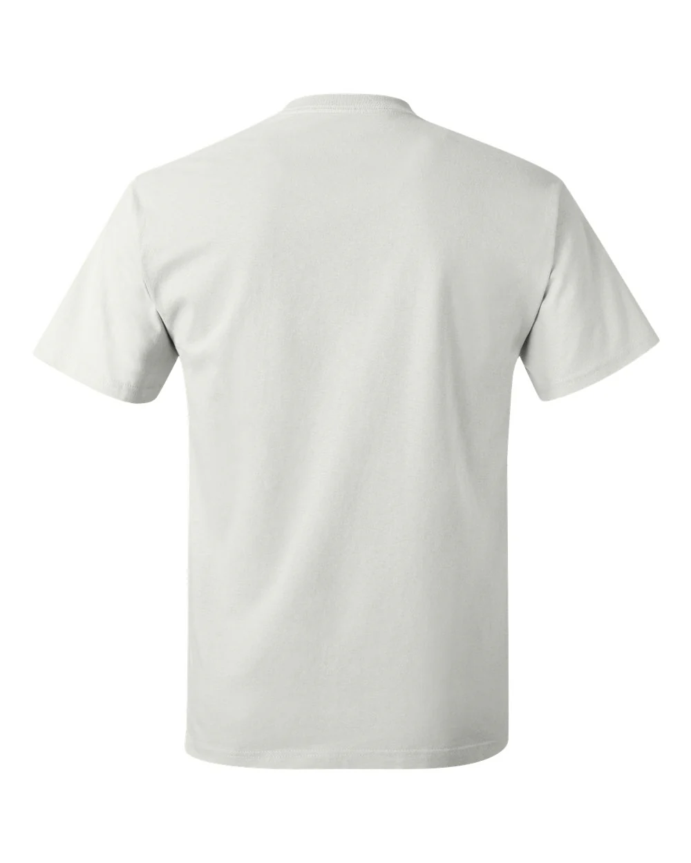 Hanes-5250-Authentic T-Shirt - Image 227