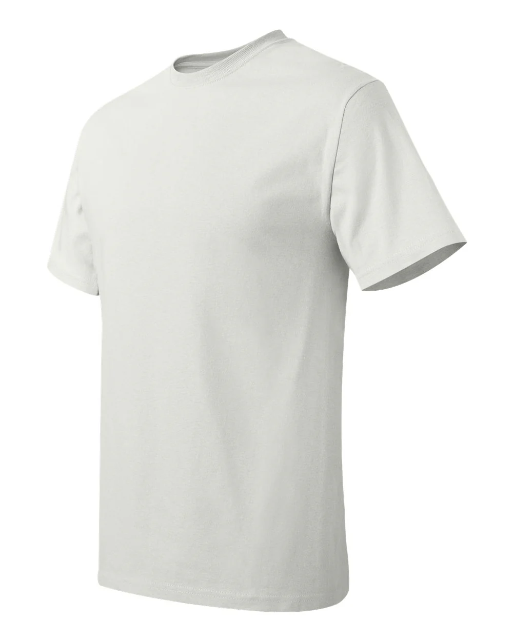 Hanes-5250-Authentic T-Shirt - Image 228