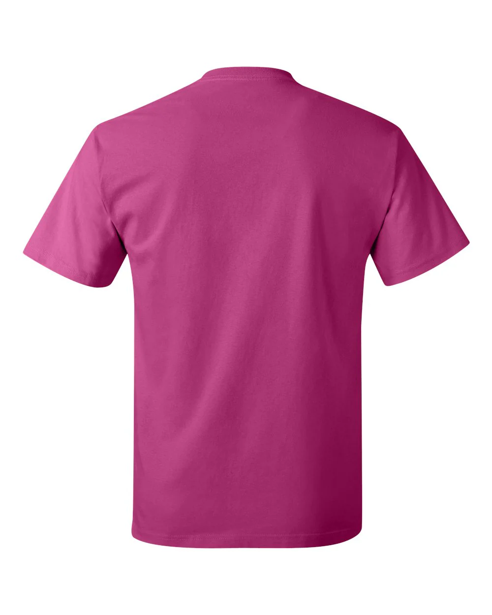 Hanes-5250-Authentic T-Shirt - Image 233