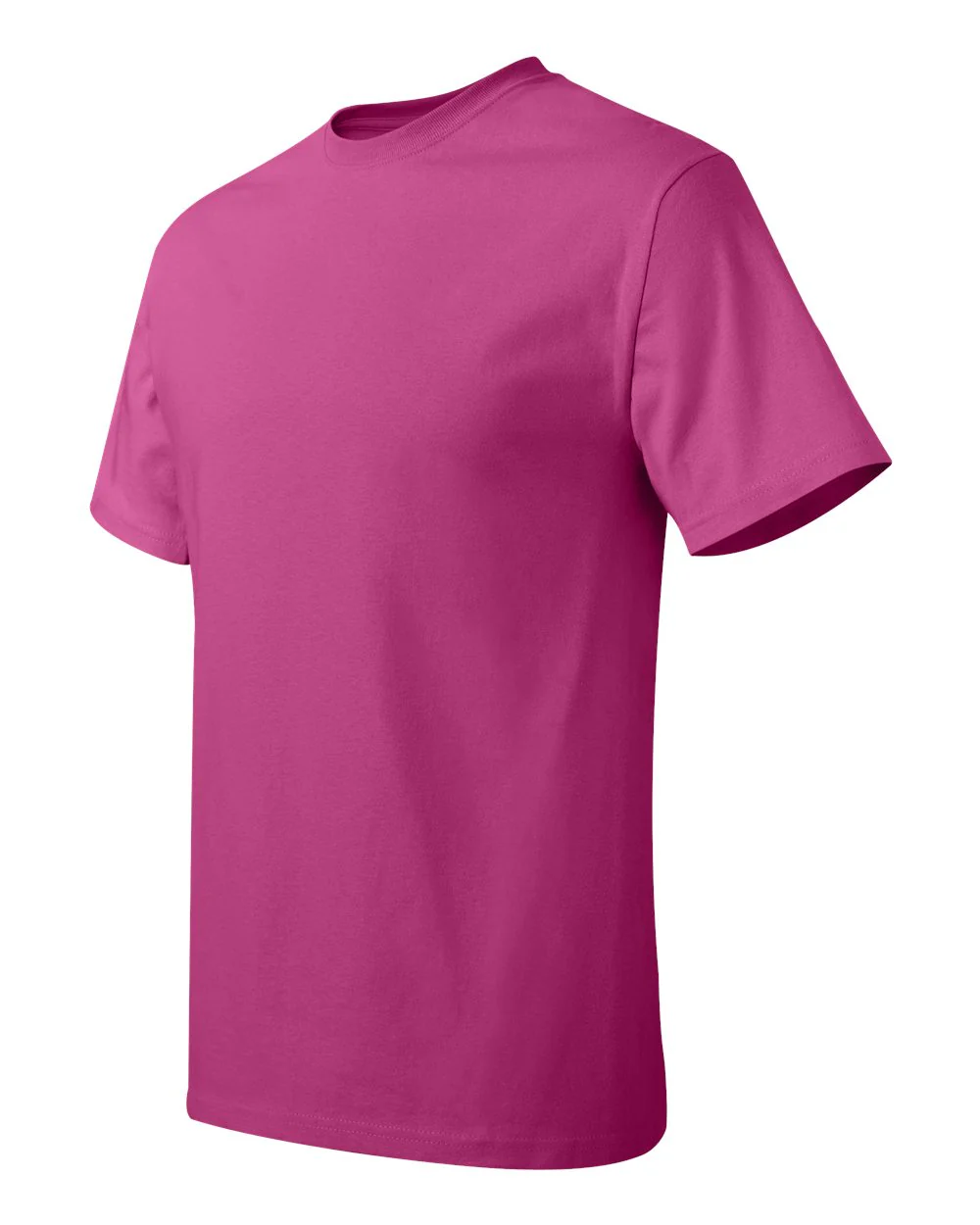 Hanes-5250-Authentic T-Shirt - Image 234