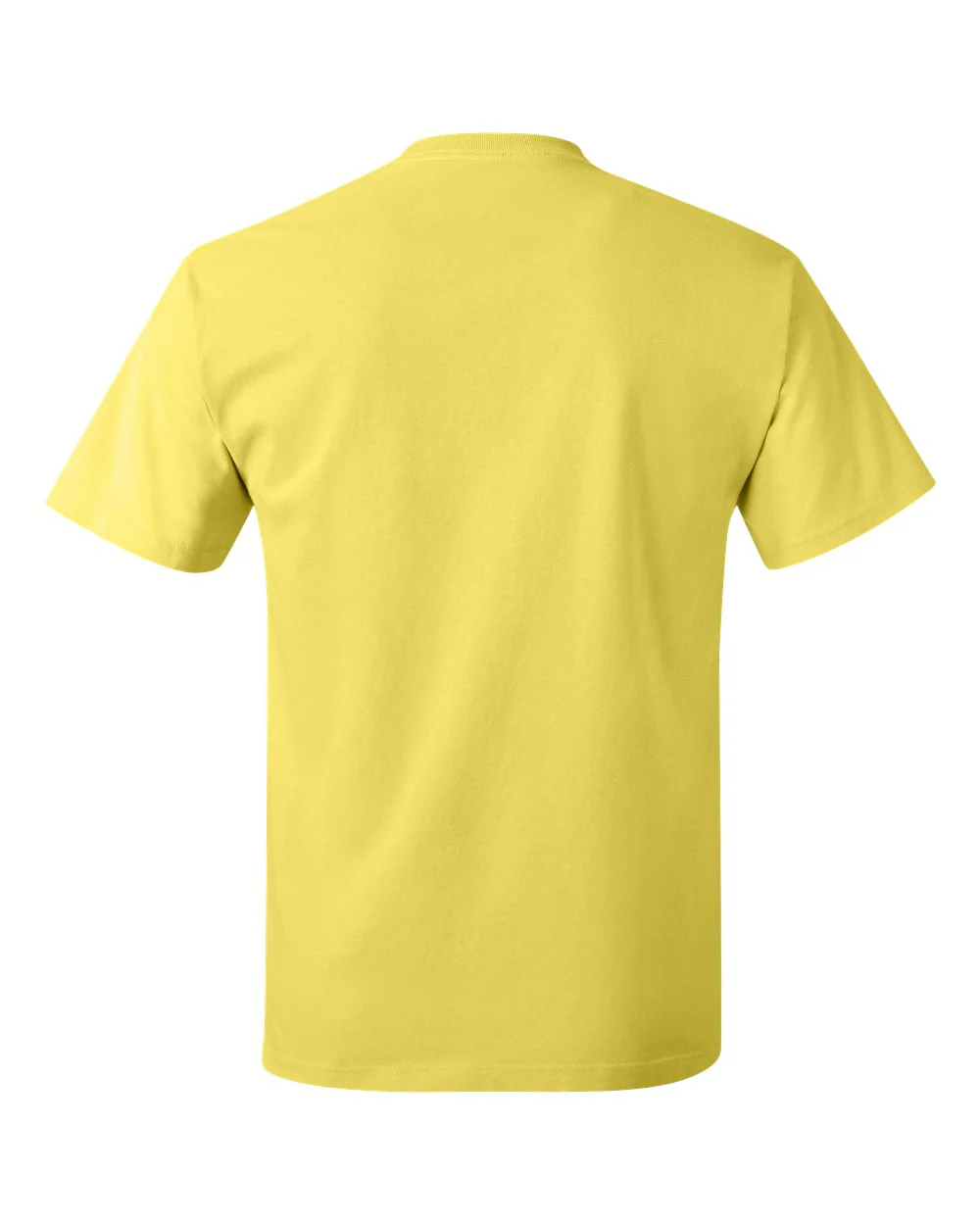 Hanes-5250-Authentic T-Shirt - Image 239