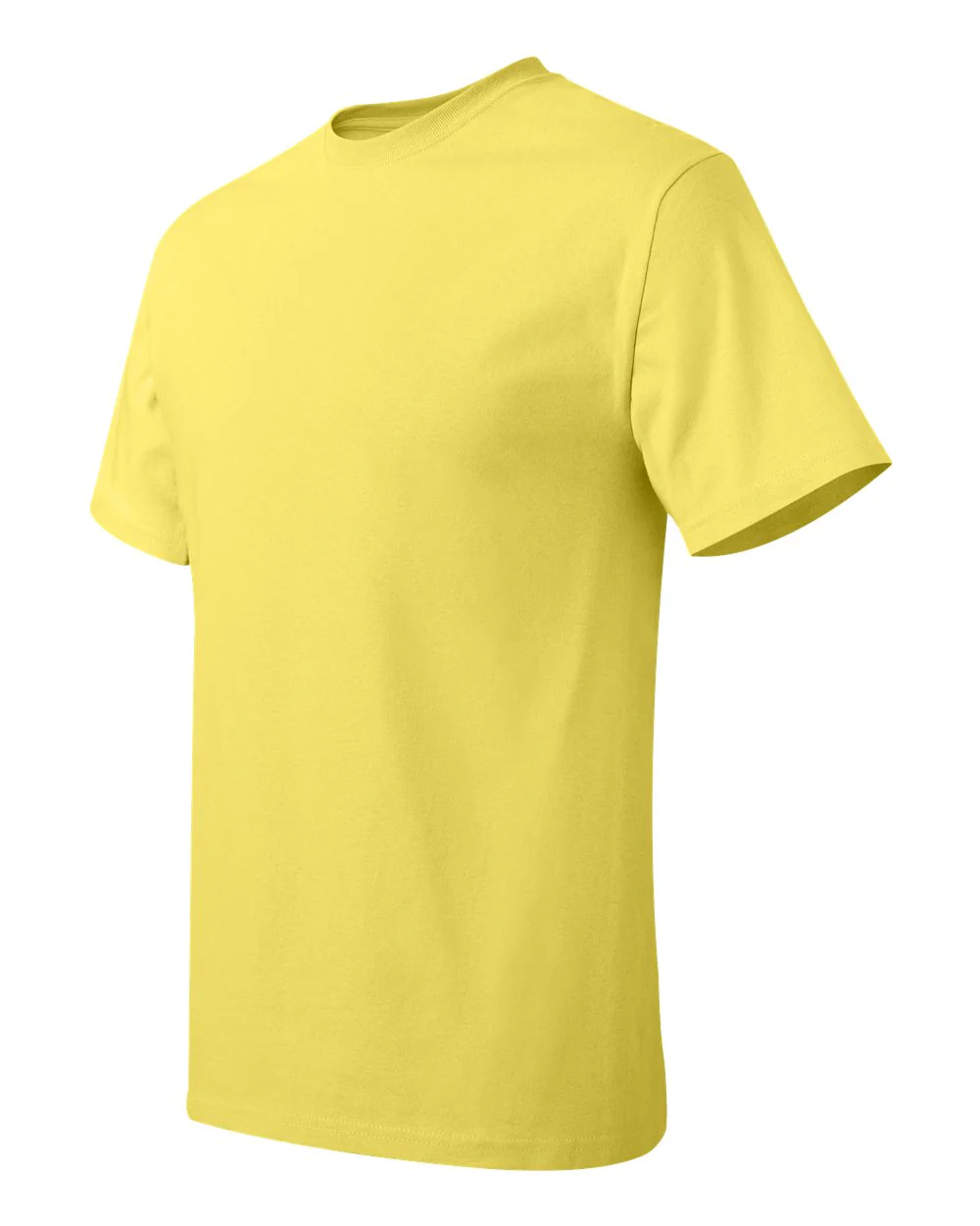 Hanes-5250-Authentic T-Shirt - Image 240
