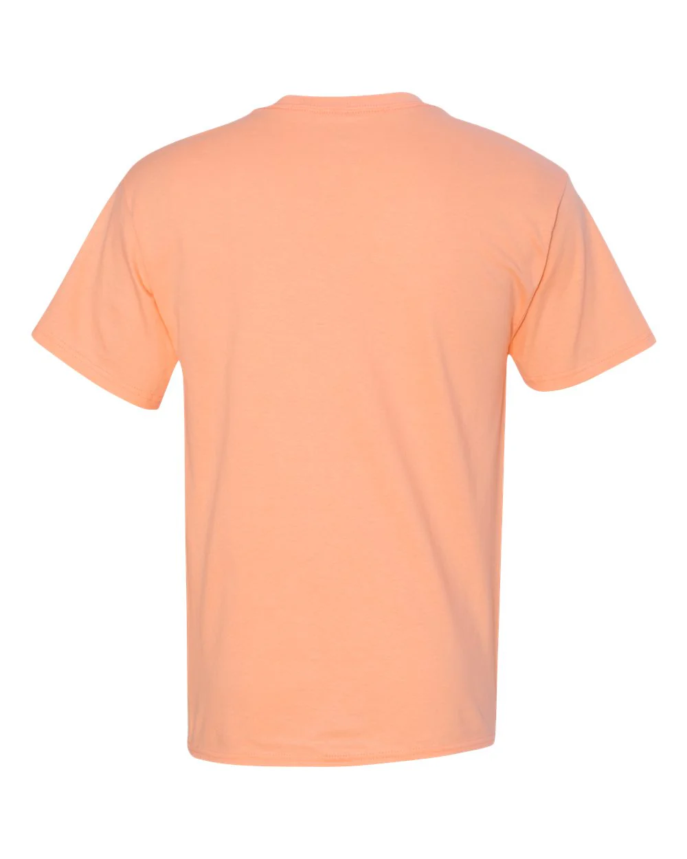 Hanes-5250-Authentic T-Shirt - Image 27