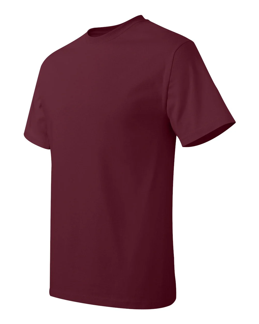 Hanes-5250-Authentic T-Shirt - Image 34