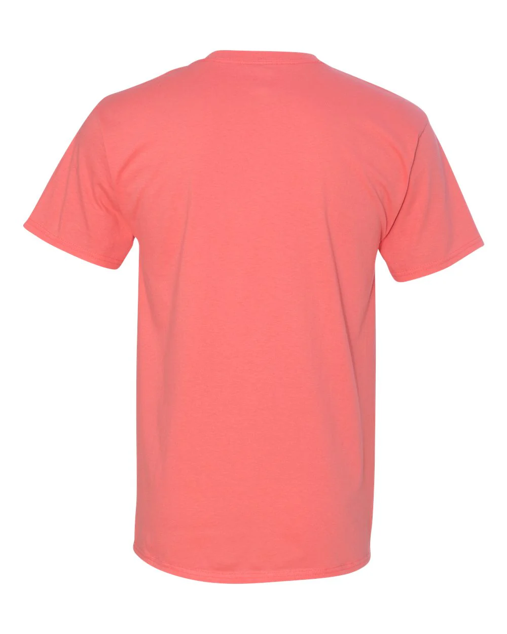 Hanes-5250-Authentic T-Shirt - Image 48