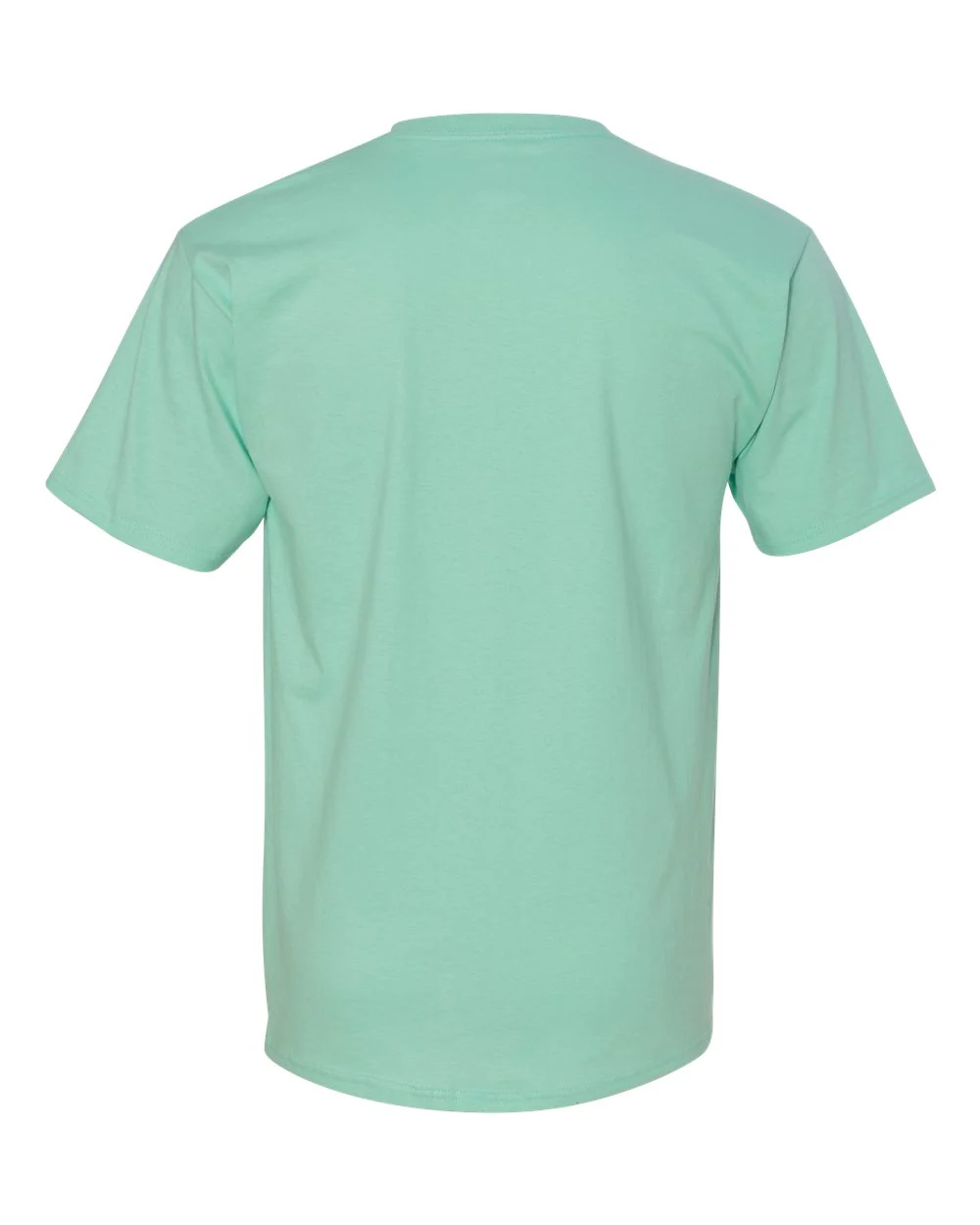 Hanes-5250-Authentic T-Shirt - Image 54