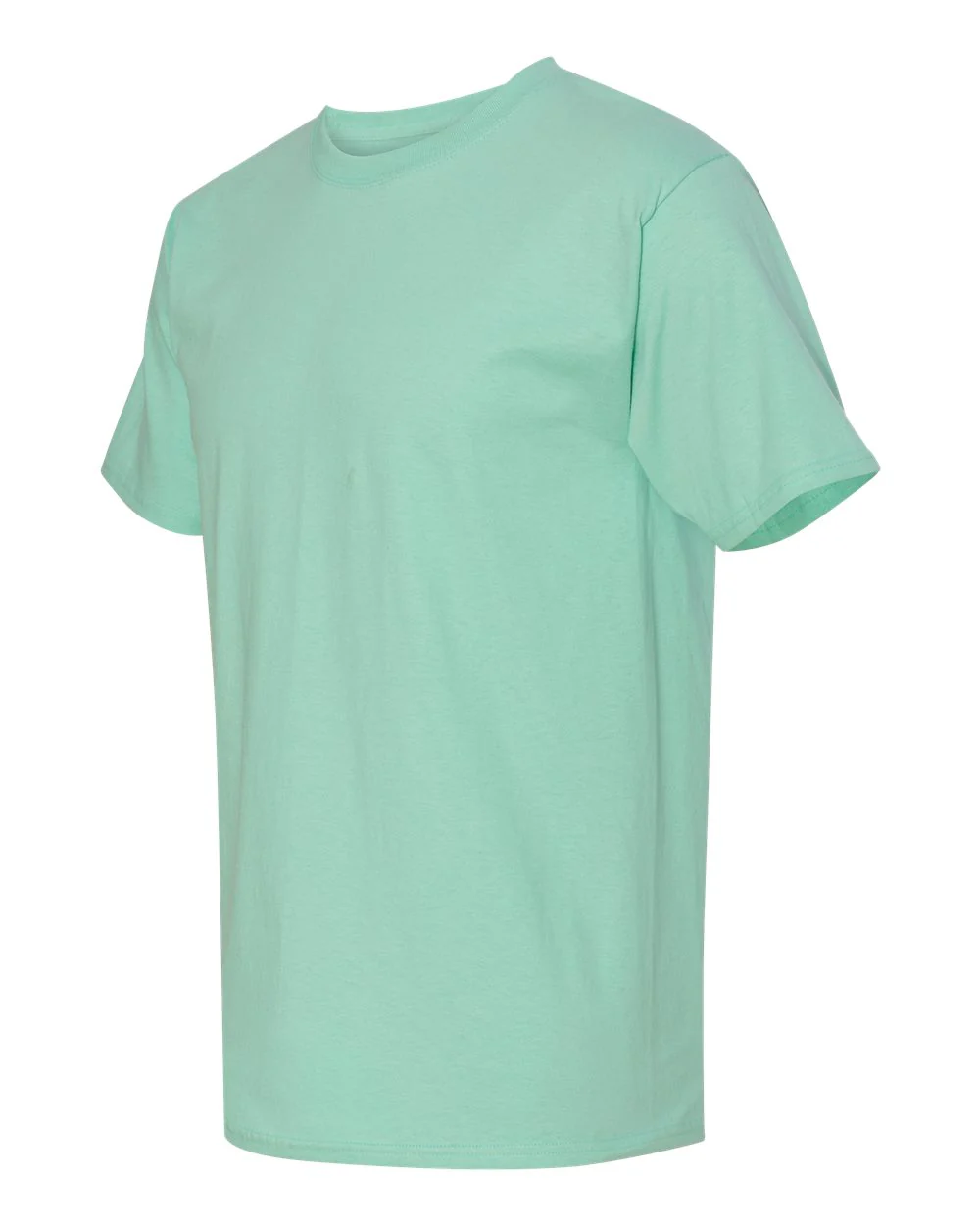 Hanes-5250-Authentic T-Shirt - Image 55