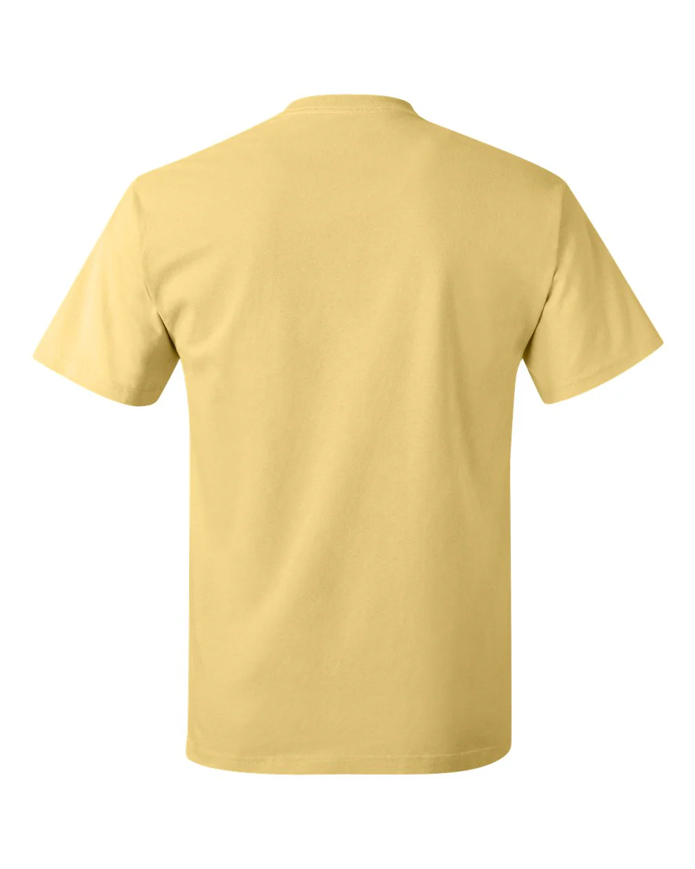 Hanes-5250-Authentic T-Shirt - Image 60