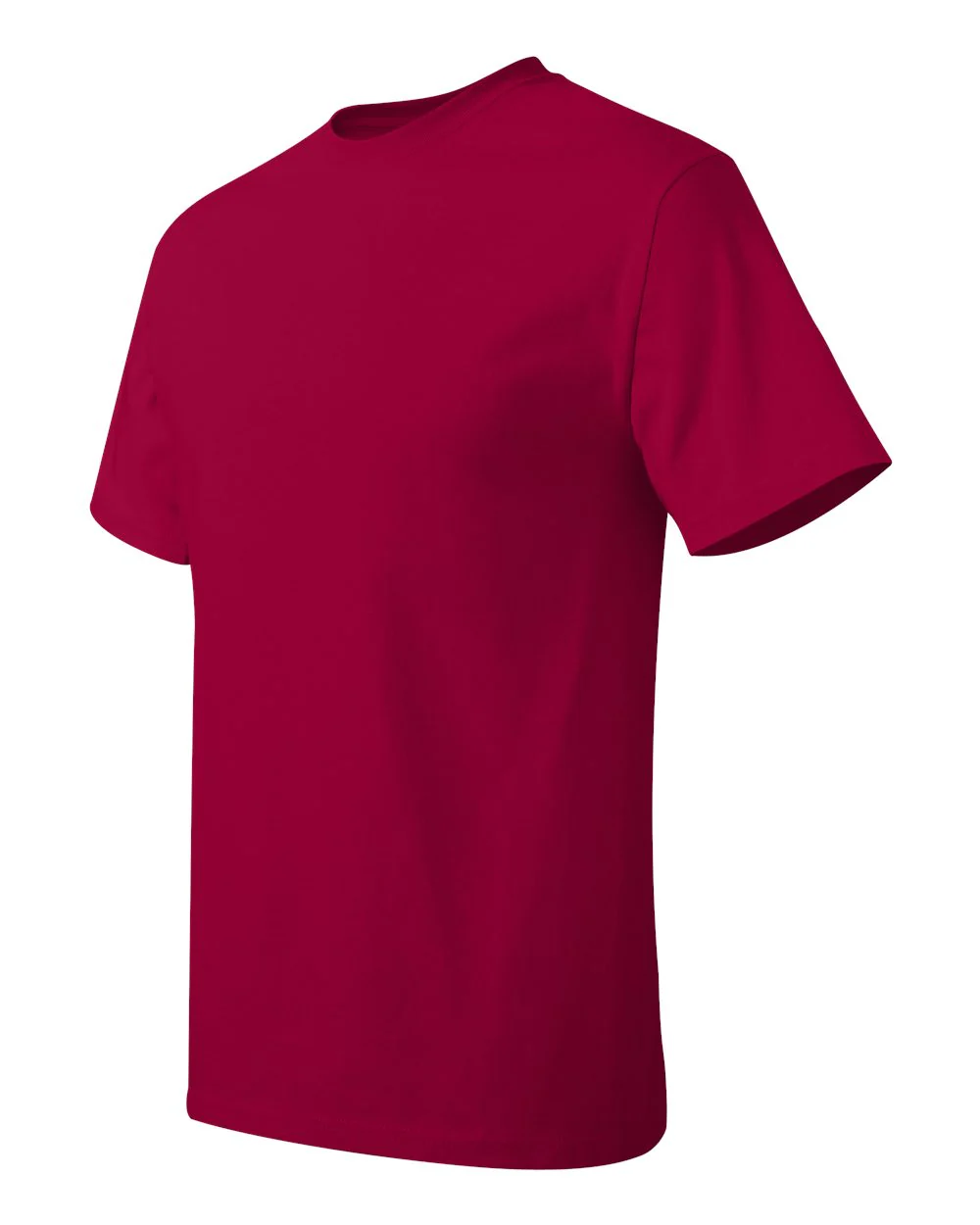 Hanes-5250-Authentic T-Shirt - Image 79