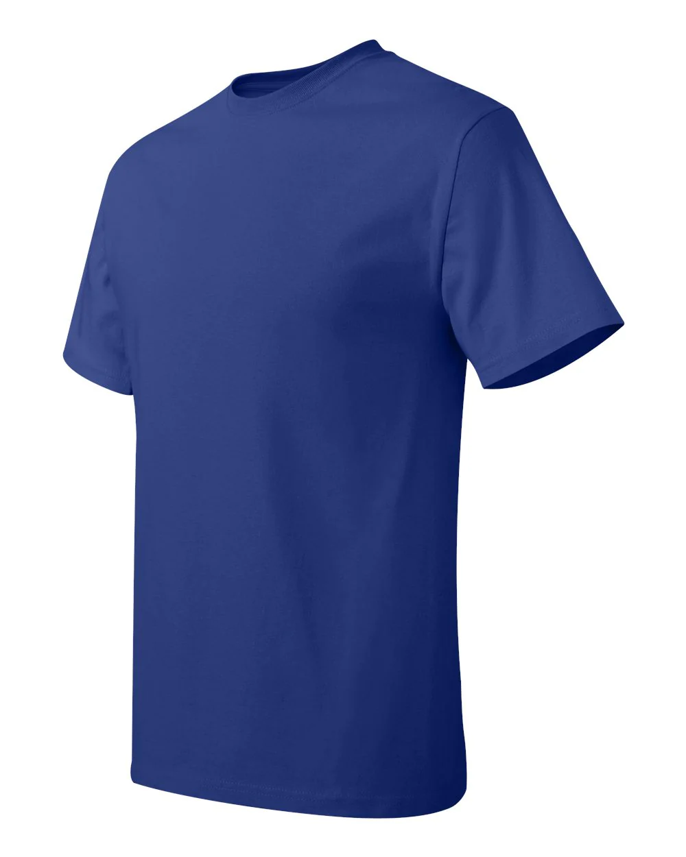 Hanes-5250-Authentic T-Shirt - Image 82