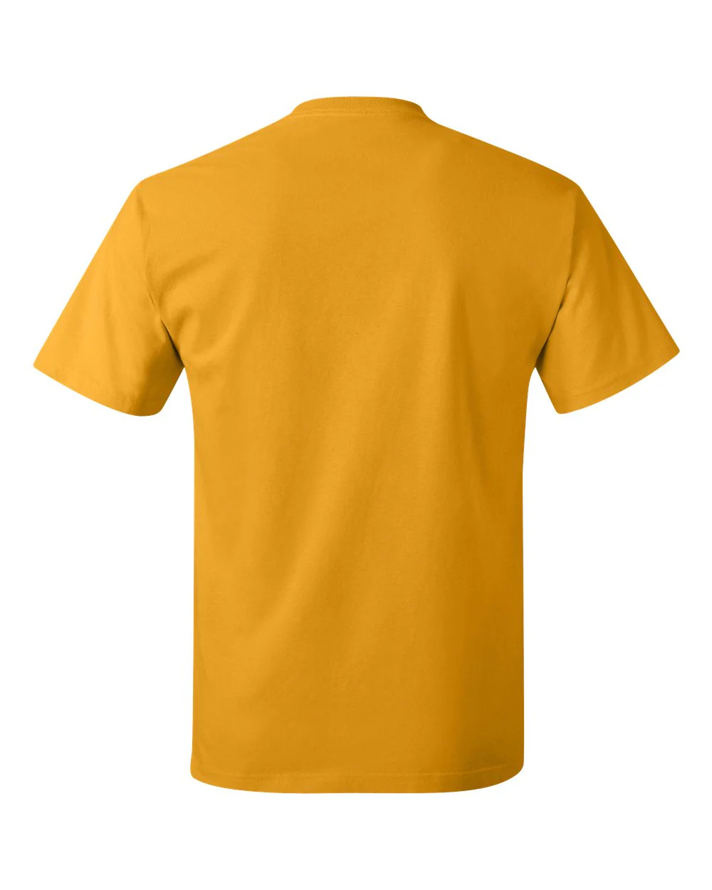 Hanes-5250-Authentic T-Shirt - Image 99