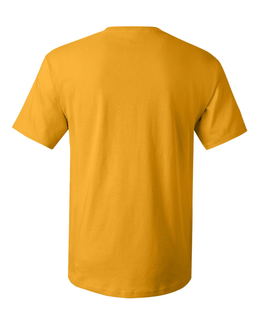 Hanes-5280-Essential-T T-Shirt - Image 120