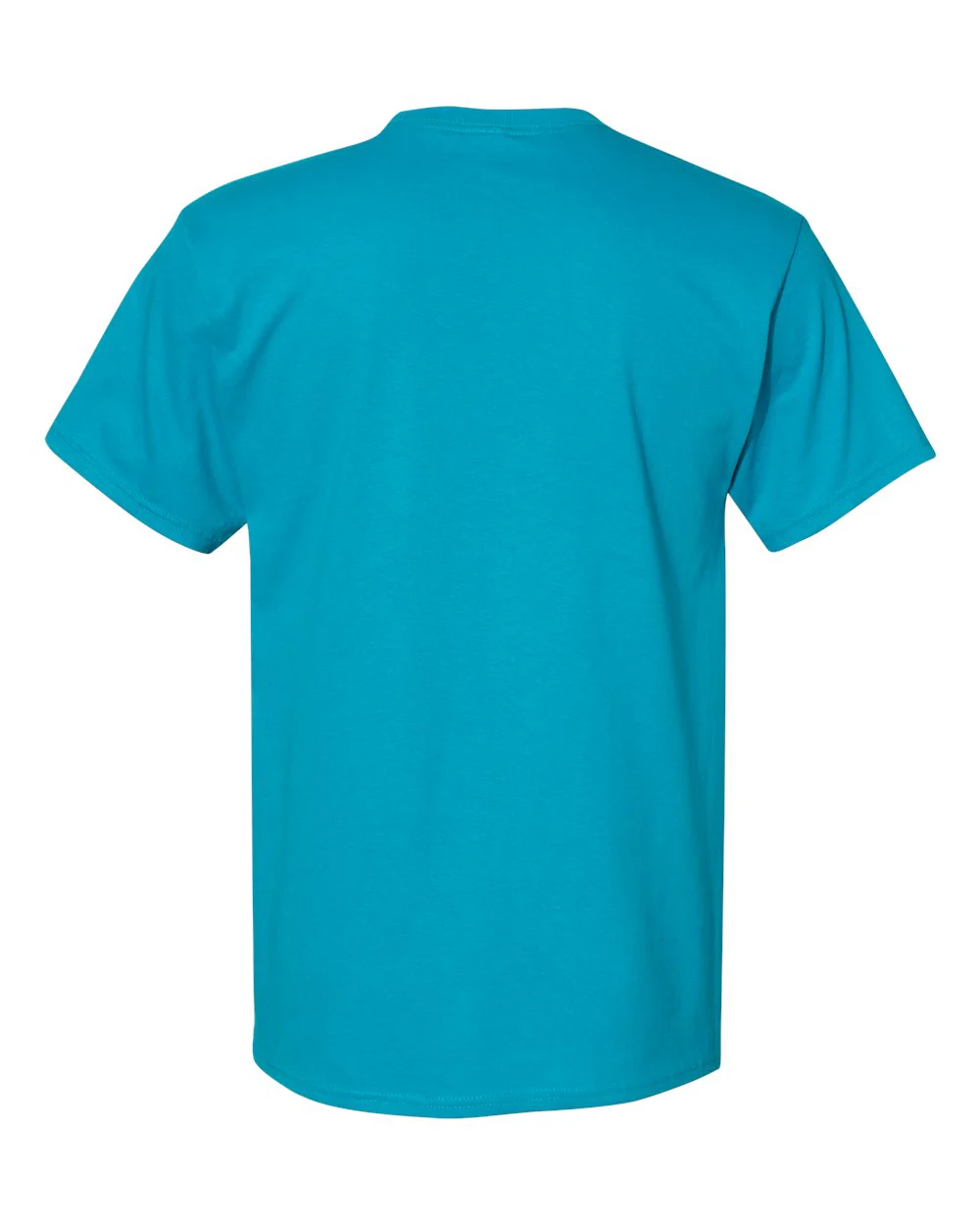 Hanes-5280-Essential-T T-Shirt - Image 213
