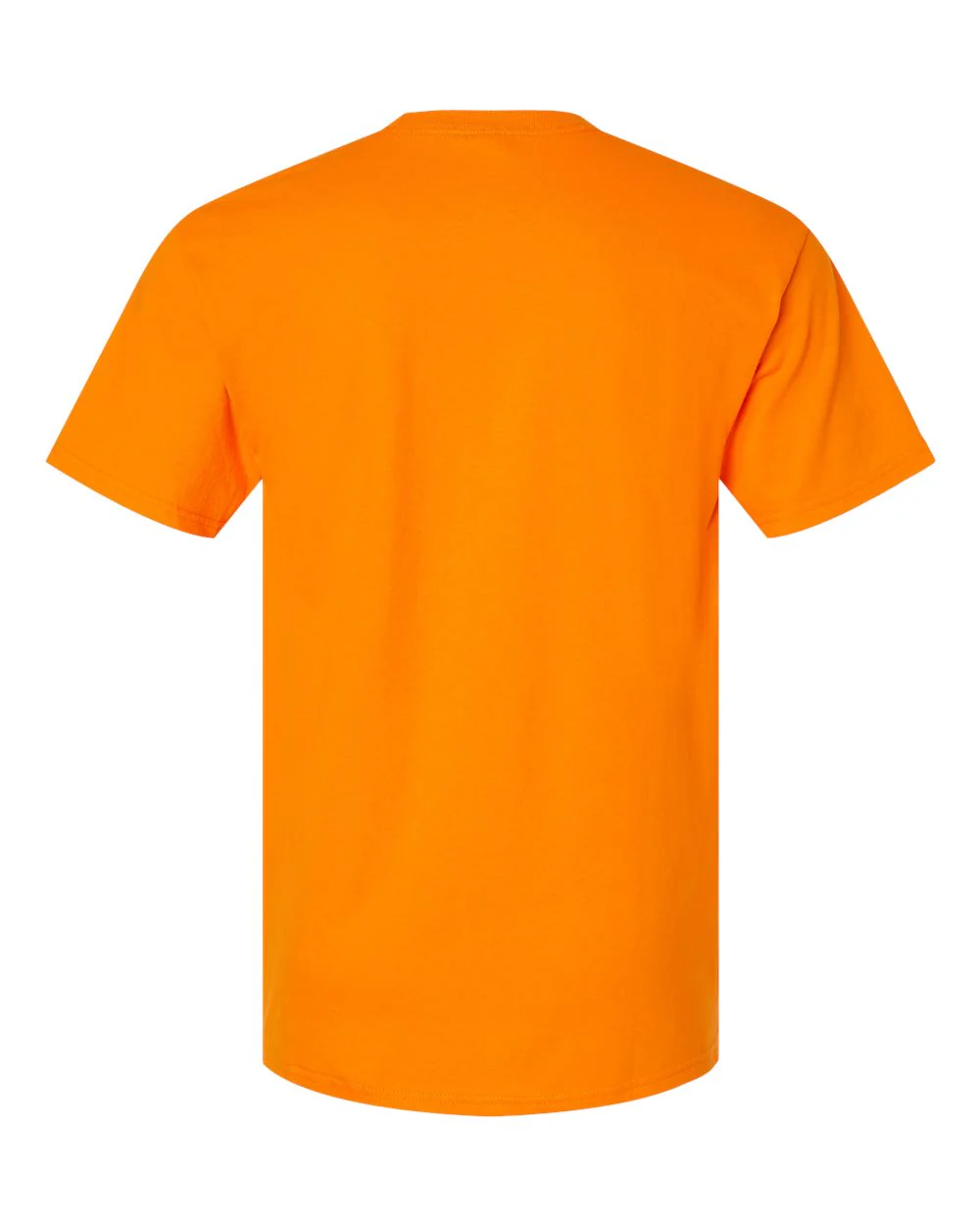Hanes-5280-Essential-T T-Shirt - Image 218