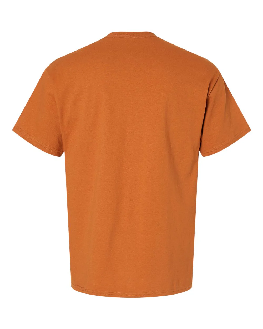 Hanes-5280-Essential-T T-Shirt - Image 228