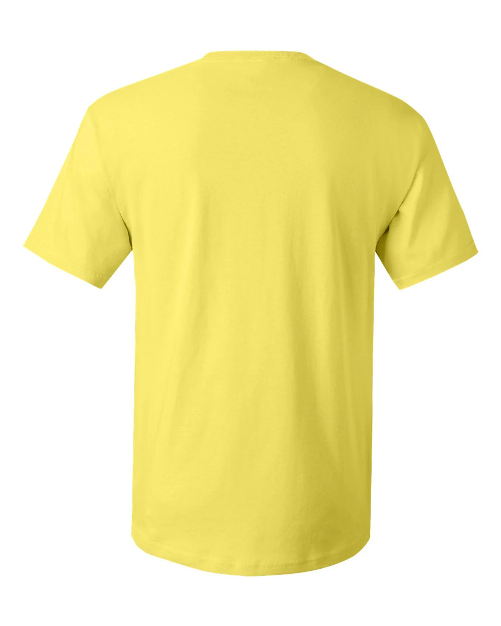 Hanes-5280-Essential-T T-Shirt - Image 243