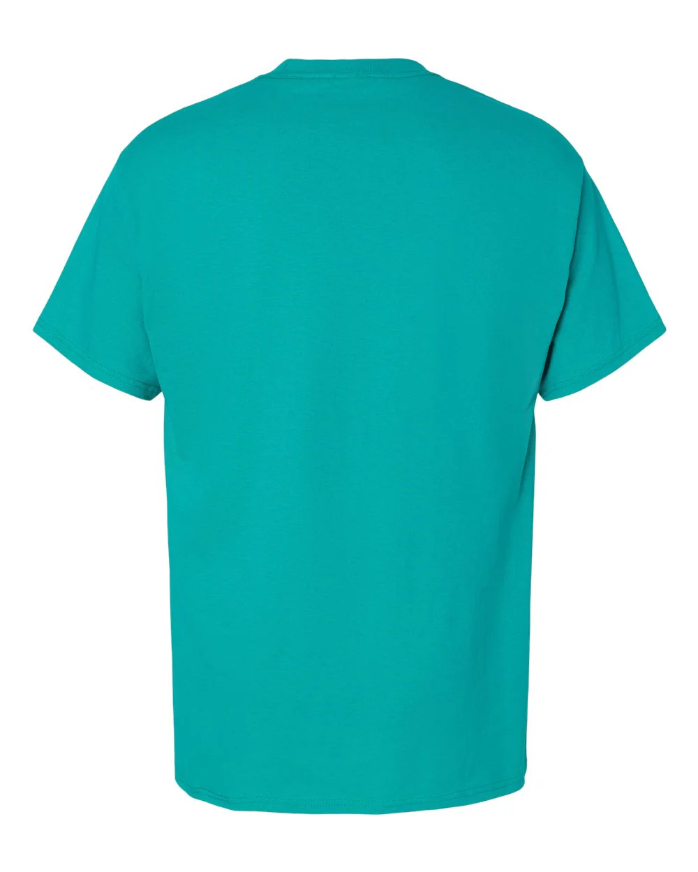 Hanes-5280-Essential-T T-Shirt - Image 56