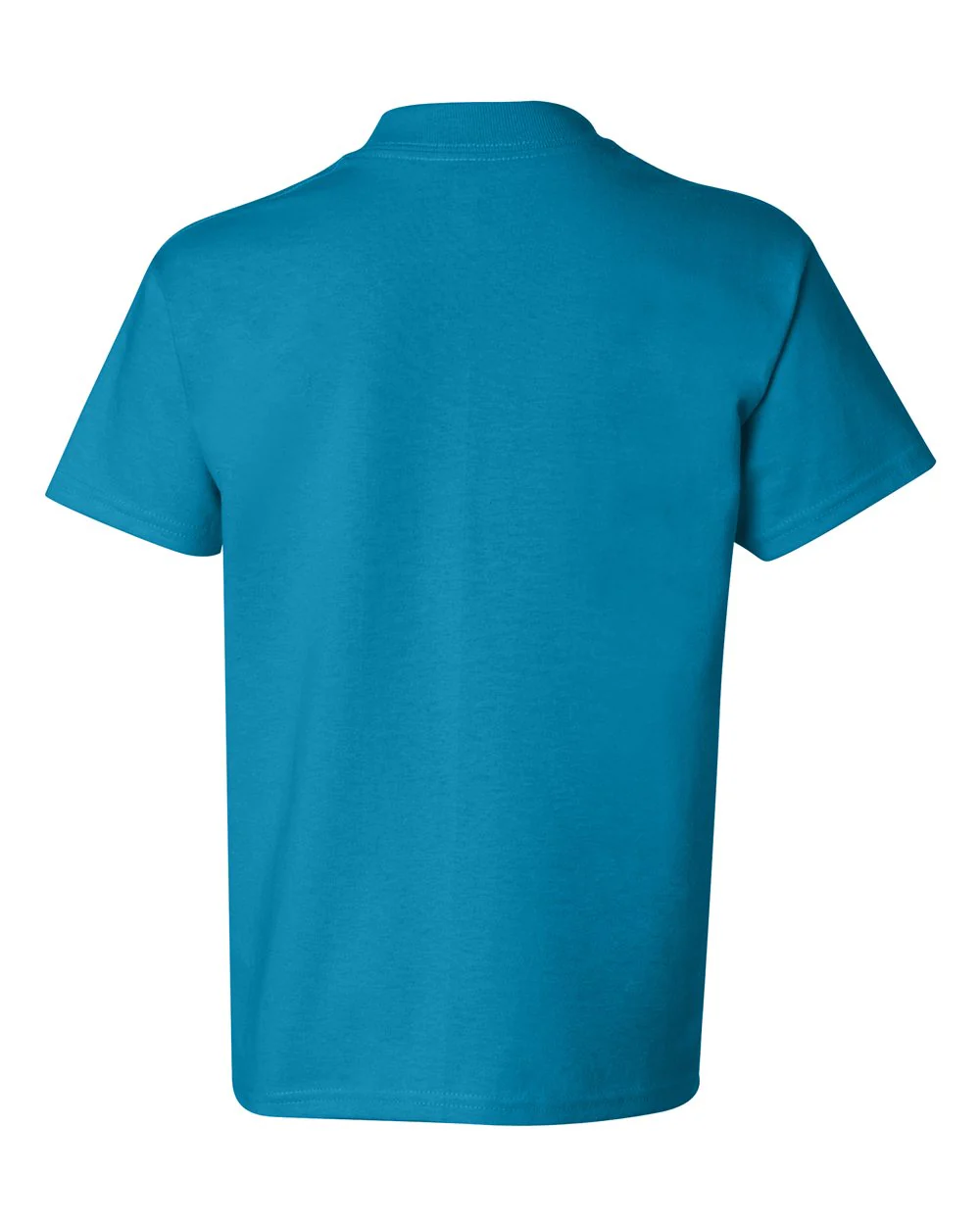 Hanes-5450-Authentic Youth T-Shirt - Image 142