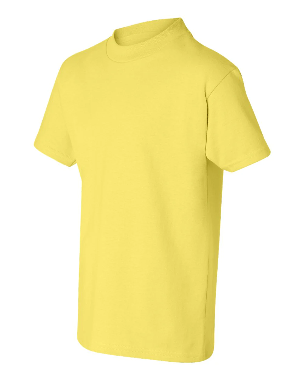 Hanes-5450-Authentic Youth T-Shirt - Image 161