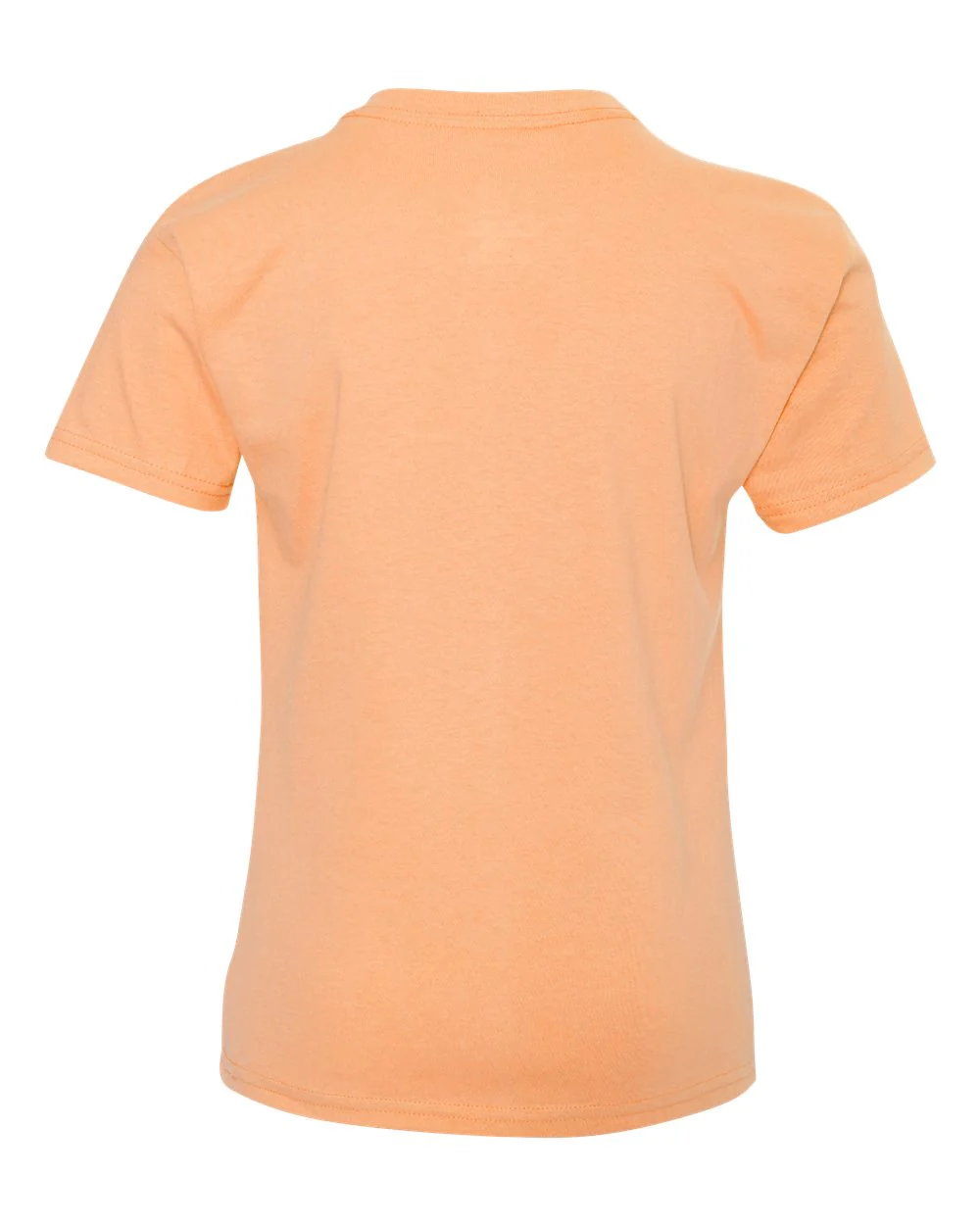 Hanes-5450-Authentic Youth T-Shirt - Image 21