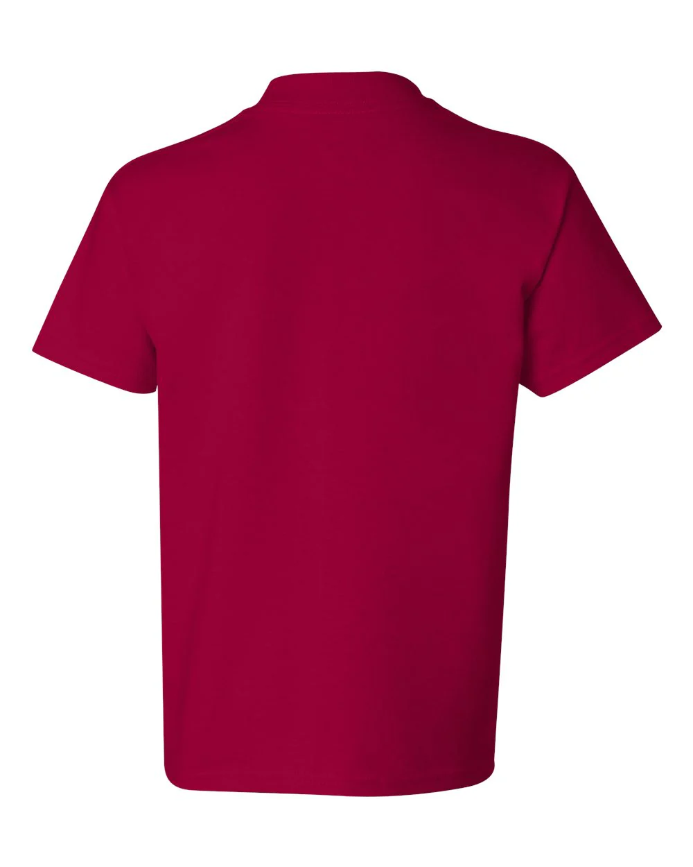 Hanes-5450-Authentic Youth T-Shirt - Image 51
