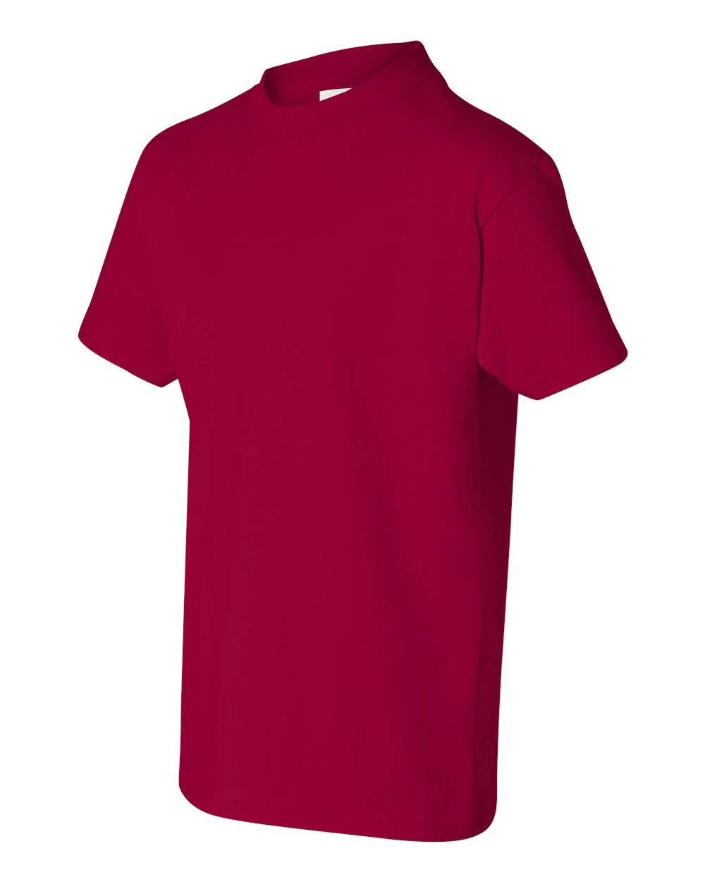 Hanes-5450-Authentic Youth T-Shirt - Image 52