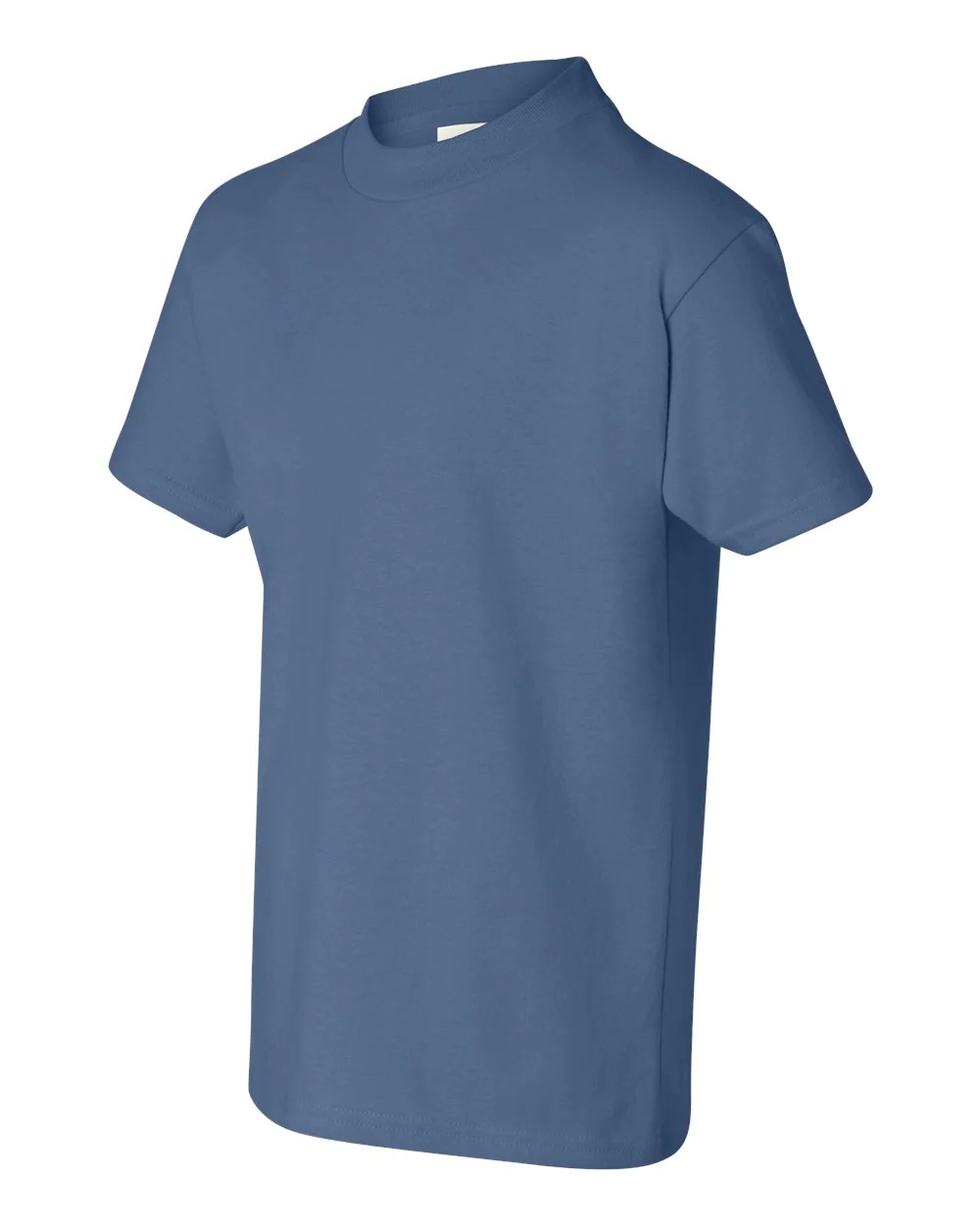 Hanes-5450-Authentic Youth T-Shirt - Image 64
